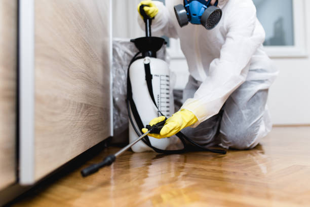 Best Ant Control Services  in Valinda, CA