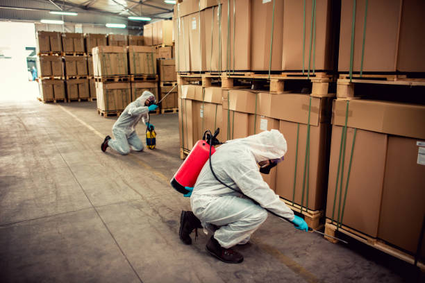 Best Wasp Removal Services  in Valinda, CA