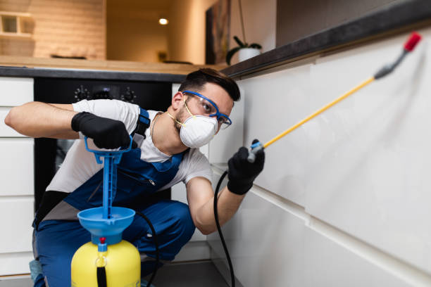Best Affordable Pest Control Services  in Valinda, CA