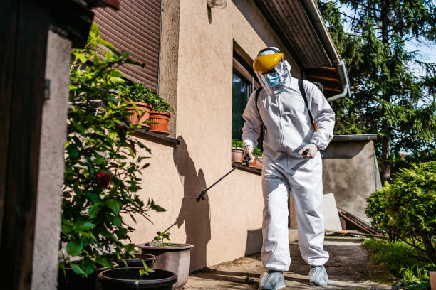 Best Pest Control for Businesses  in Valinda, CA