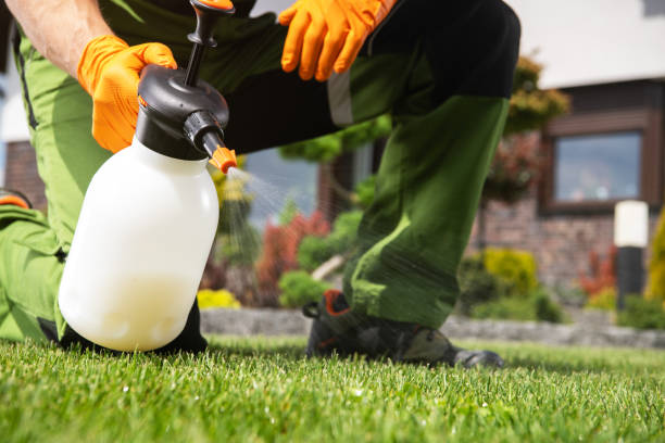 Best Pest Control Near Me in Valinda, CA