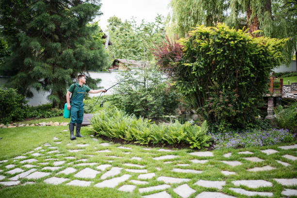 Best Mosquito Control Services  in Valinda, CA