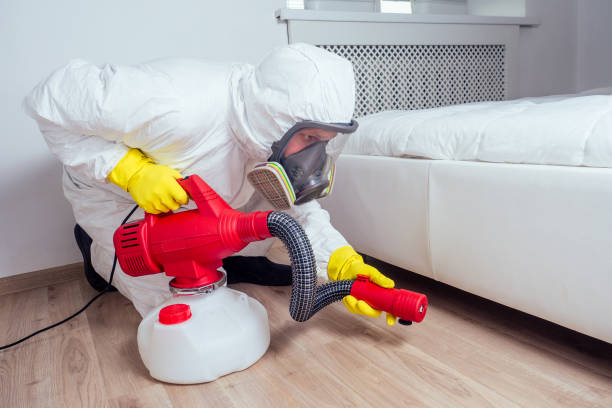 Best Pest Control Near Me  in Valinda, CA