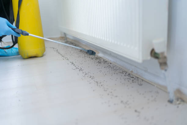 Best Exterminator Services  in Valinda, CA