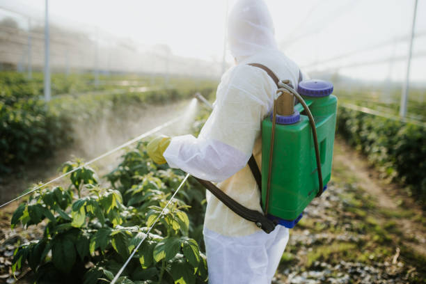 Best Local Pest Control Services  in Valinda, CA
